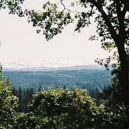 Sierra Sun Cloud Inn - Colfax (Adults Only) Екстериор снимка