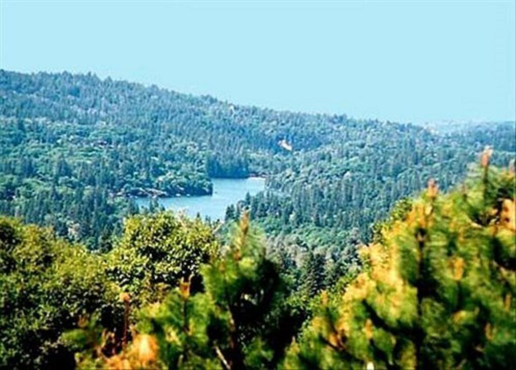 Sierra Sun Cloud Inn - Colfax (Adults Only) Екстериор снимка