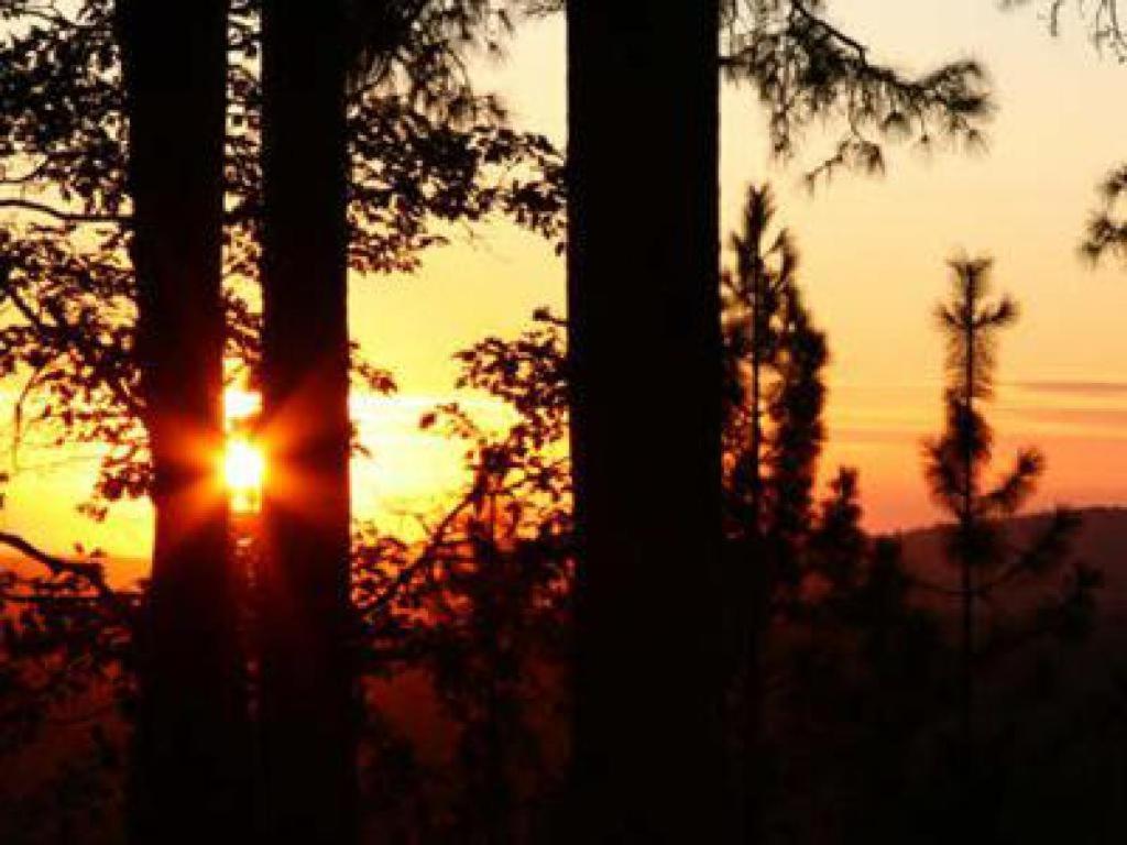 Sierra Sun Cloud Inn - Colfax (Adults Only) Екстериор снимка