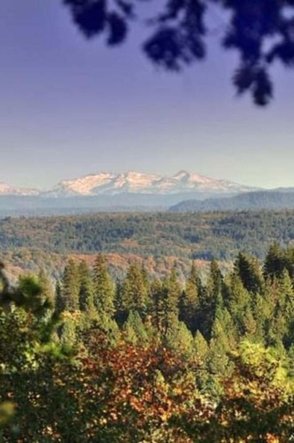 Sierra Sun Cloud Inn - Colfax (Adults Only) Екстериор снимка